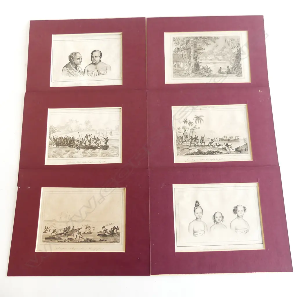 Six antique French engravings by Danvin and Montant from 'Oceanie ou Cinquieme...' published Paris 1836 Image 1++